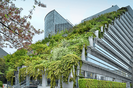 Green Roof at Commercial Building