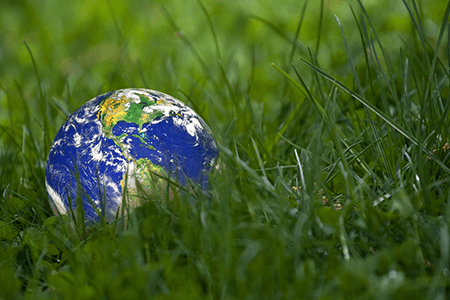 Environment Globe Grass
